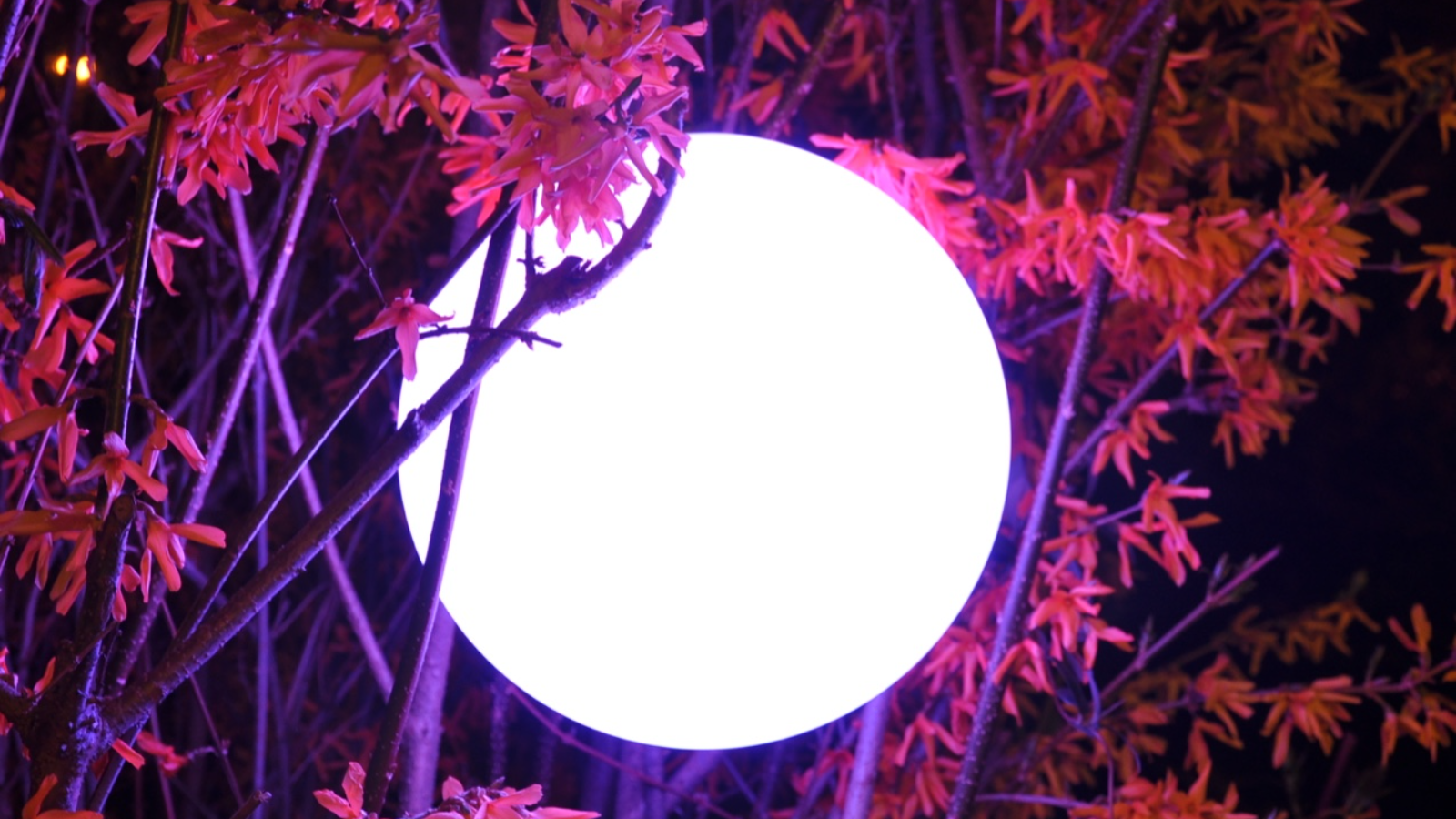 Globe LED Outdoor Lamp 4 Globe LED Outdoor Lamp