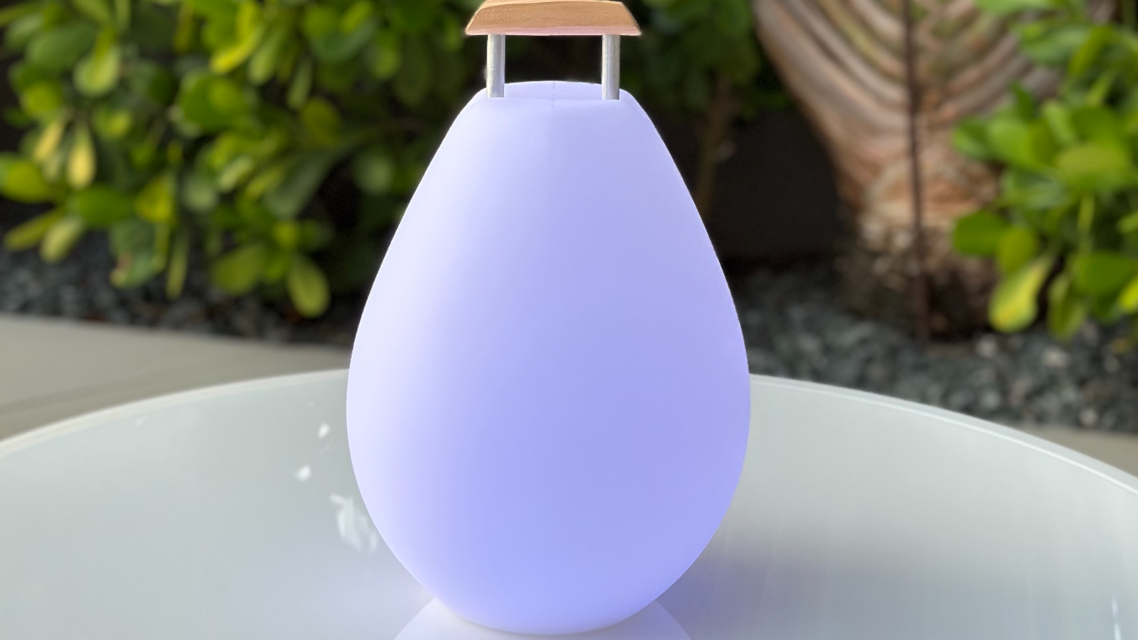 Vessel LED Lamp